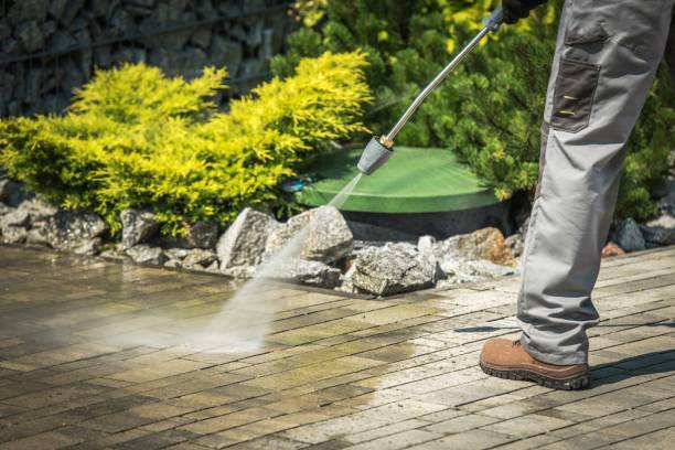 Best Animal Enclosure Cleaning  in Cut Bank, MT