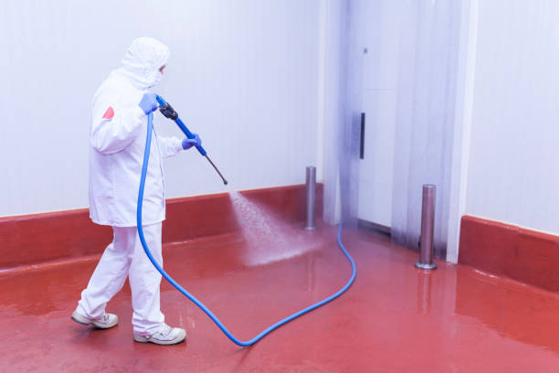 Best Paint Preparation  in Cut Bank, MT